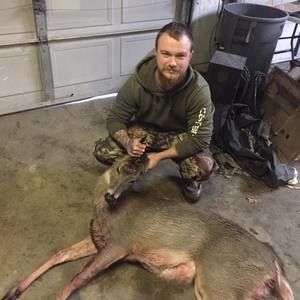 Meet your Posher, Chase